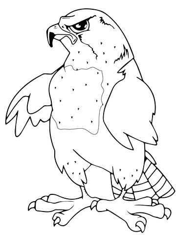 Falcon Mascot Coloring Page